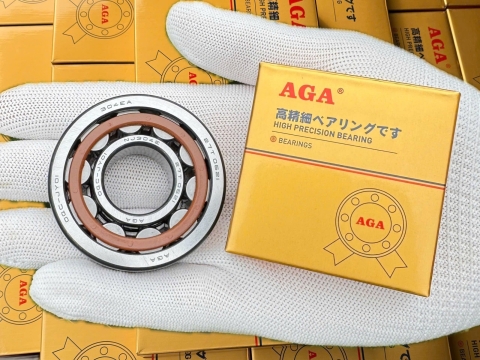 Bạc đạn chà AGA chính hãng tại Quận 5 