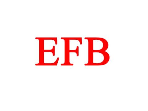 Giới thiệu vòng bi EFB 